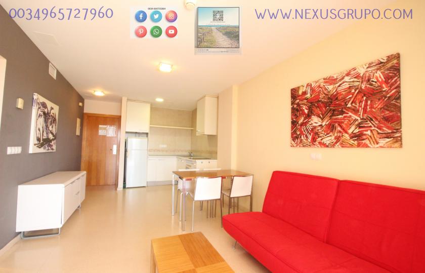 REAL ESTATE GROUP NEXUS, RENT TOURIST APARTMENT FOR THE WHOLE YEAR in Nexus Grupo