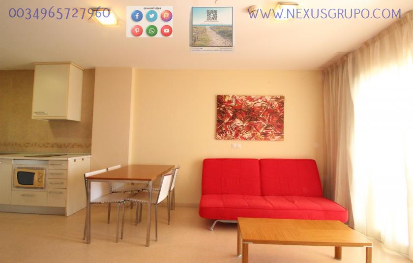 REAL ESTATE GROUP NEXUS, RENT TOURIST APARTMENT FOR THE WHOLE YEAR in Nexus Grupo