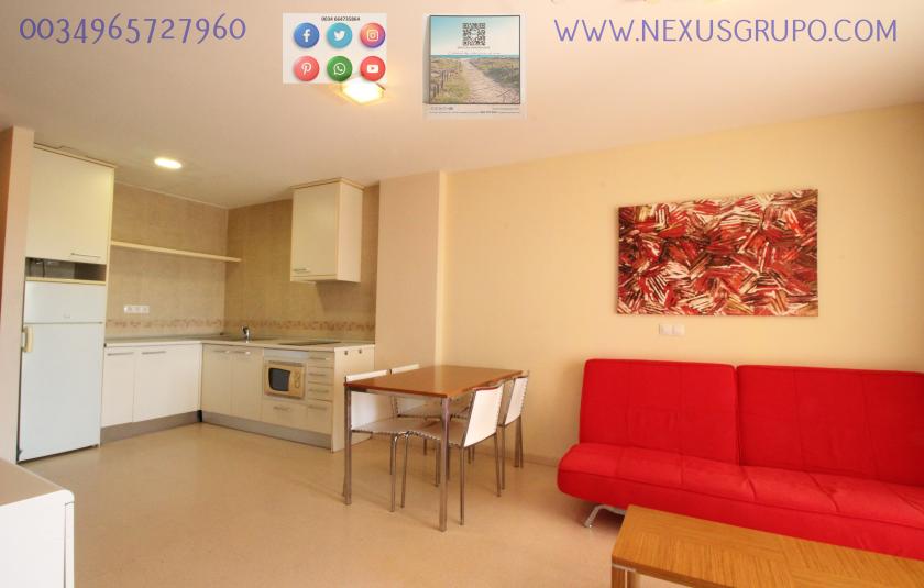 REAL ESTATE GROUP NEXUS, RENT TOURIST APARTMENT FOR THE WHOLE YEAR in Nexus Grupo