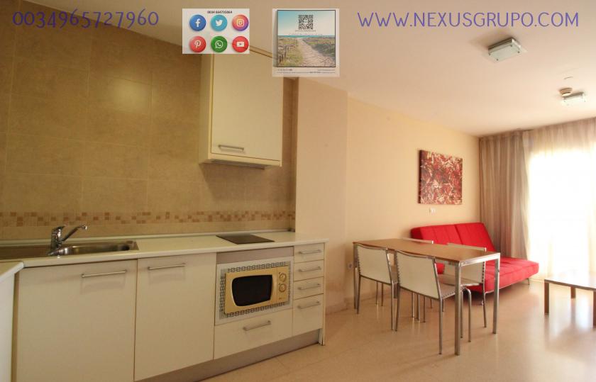 REAL ESTATE GROUP NEXUS, RENT TOURIST APARTMENT FOR THE WHOLE YEAR in Nexus Grupo