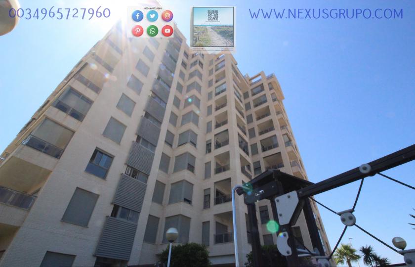 REAL ESTATE, GRUPO NEXUS RENTS APARTMENT FOR THE WHOLE YEAR IN PUERTO MARINO URBANIZATION in Nexus Grupo