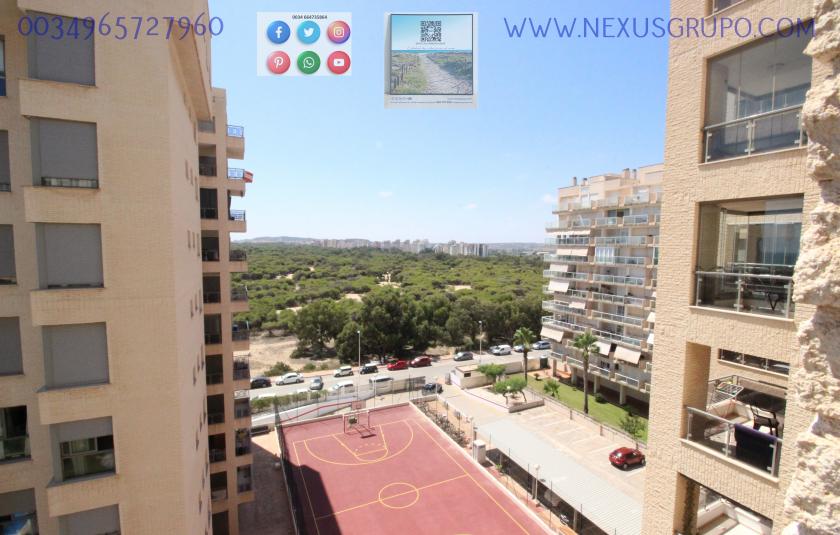 REAL ESTATE, GRUPO NEXUS RENTS APARTMENT FOR THE WHOLE YEAR IN PUERTO MARINO URBANIZATION in Nexus Grupo