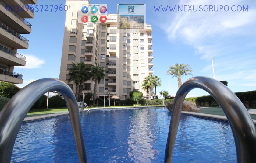 INMOBILIARIA, GRUPO NEXUS ALQUILA PISO PARA TODO EL AÑO EN URBANIZACIÓN PUERTO MARINO in Nexus Grupo