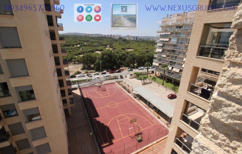 REAL ESTATE, GRUPO NEXUS RENTS APARTMENT FOR THE WHOLE YEAR IN PUERTO MARINO URBANIZATION in Nexus Grupo