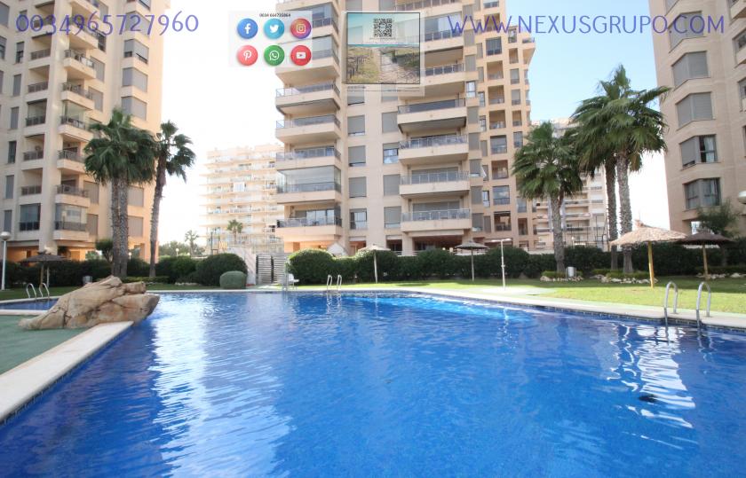 INMOBILIARIA, GRUPO NEXUS ALQUILA PISO PARA TODO EL AÑO EN URBANIZACIÓN PUERTO MARINO in Nexus Grupo