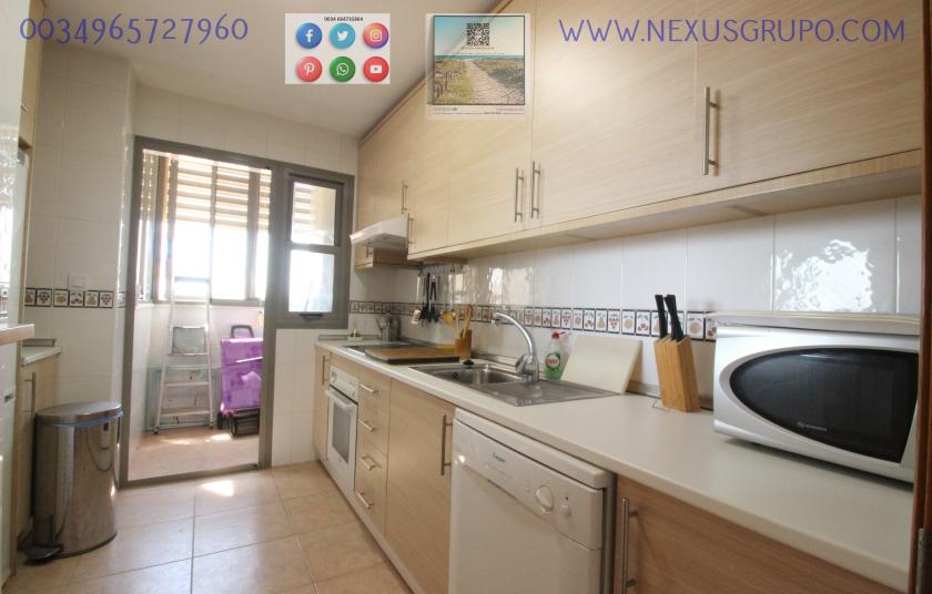 REAL ESTATE, GRUPO NEXUS RENTS APARTMENT FOR THE WHOLE YEAR IN PUERTO MARINO URBANIZATION in Nexus Grupo