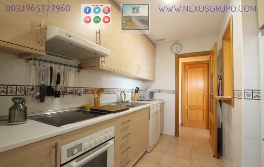 REAL ESTATE, GRUPO NEXUS RENTS APARTMENT FOR THE WHOLE YEAR IN PUERTO MARINO URBANIZATION in Nexus Grupo