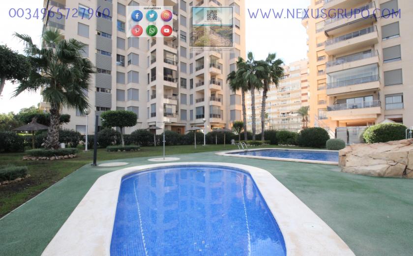 INMOBILIARIA, GRUPO NEXUS ALQUILA PISO PARA TODO EL AÑO EN URBANIZACIÓN PUERTO MARINO in Nexus Grupo