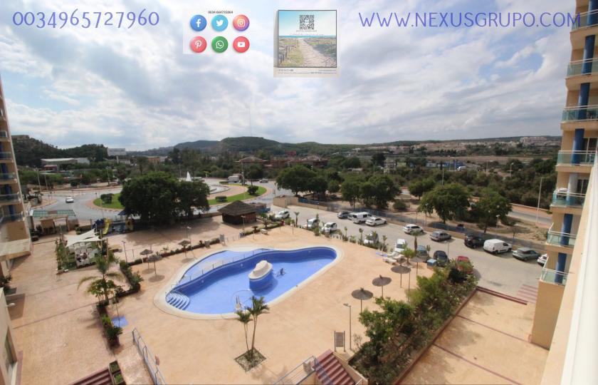 REAL ESTATE, NEXUS GROUP SELLS TOURIST APARTMENT IN GUARDAMAR DEL SEGURA in Nexus Grupo