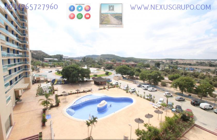 REAL ESTATE, NEXUS GROUP SELLS TOURIST APARTMENT IN GUARDAMAR DEL SEGURA in Nexus Grupo