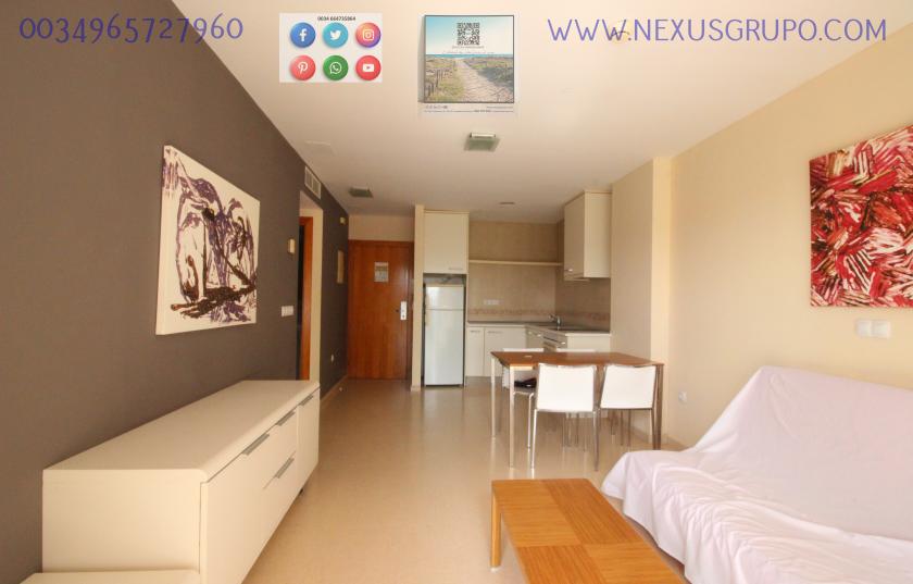 REAL ESTATE, NEXUS GROUP SELLS TOURIST APARTMENT IN GUARDAMAR DEL SEGURA in Nexus Grupo