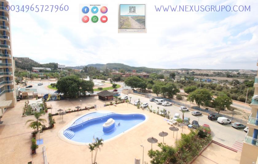 REAL ESTATE, NEXUS GROUP SELLS TOURIST APARTMENT IN GUARDAMAR DEL SEGURA in Nexus Grupo