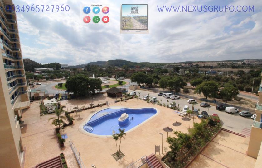 REAL ESTATE, NEXUS GROUP SELLS TOURIST APARTMENT IN GUARDAMAR DEL SEGURA in Nexus Grupo