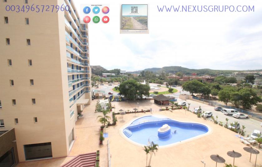 REAL ESTATE, NEXUS GROUP SELLS TOURIST APARTMENT IN GUARDAMAR DEL SEGURA in Nexus Grupo