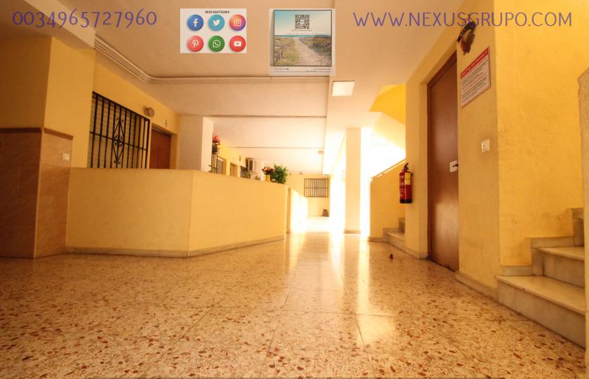 NEXUS GROUP REAL ESTATE RENT APARTMENT FOR THE WHOLE YEAR IN SANCHIS GUARNER in Nexus Grupo