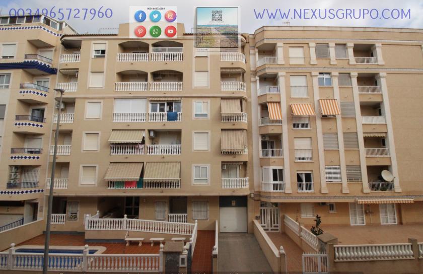 INMOBILIARIA GRUPO NEXUS, ALQUILA PISO PARA TODO EL AÑO EN SANCHIS GUARNER in Nexus Grupo