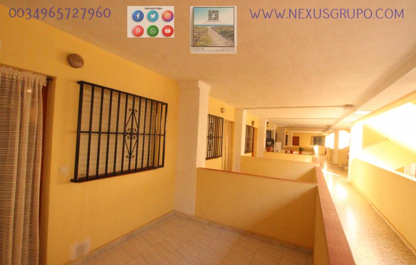 NEXUS GROUP REAL ESTATE RENT APARTMENT FOR THE WHOLE YEAR IN SANCHIS GUARNER in Nexus Grupo