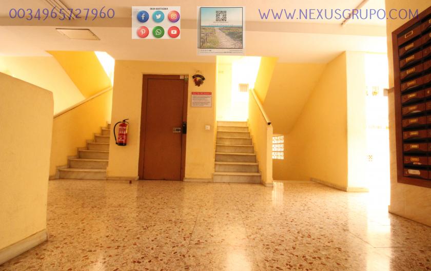 NEXUS GROUP REAL ESTATE RENT APARTMENT FOR THE WHOLE YEAR IN SANCHIS GUARNER in Nexus Grupo