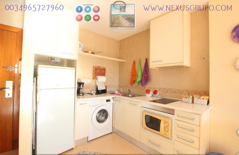 REAL ESTATE, NEXUS GROUP RENT TOURIST APARTMENT FOR VACATION SEASON in Nexus Grupo