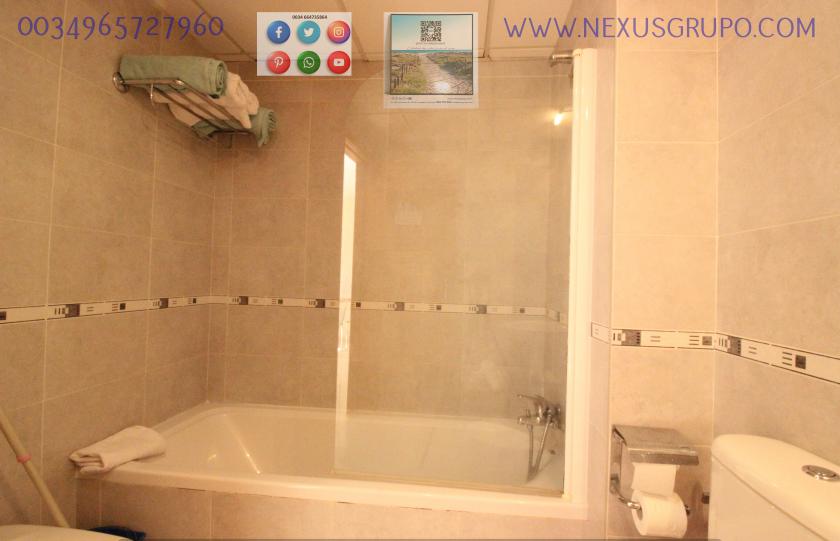 REAL ESTATE, NEXUS GROUP RENT TOURIST APARTMENT FOR VACATION SEASON in Nexus Grupo