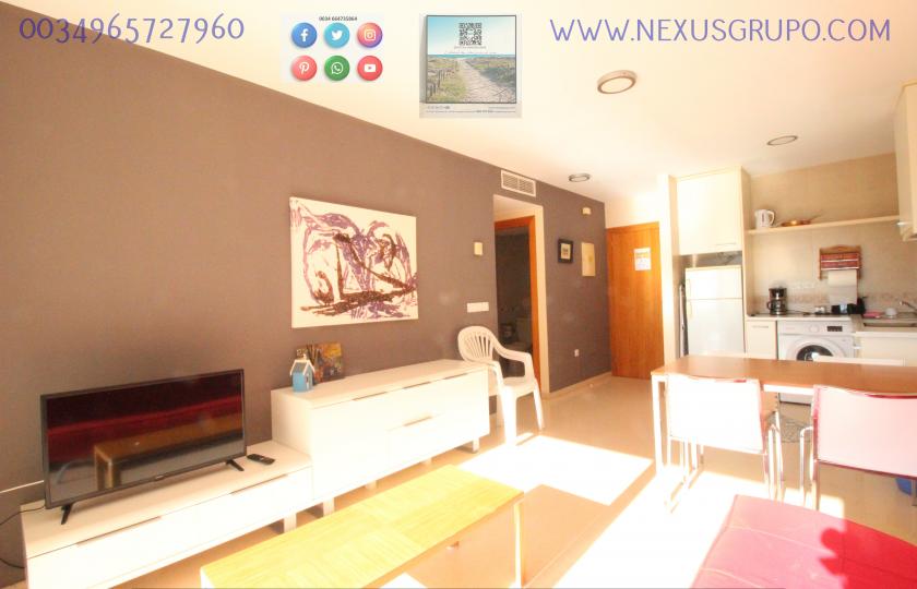 REAL ESTATE, NEXUS GROUP RENT TOURIST APARTMENT FOR VACATION SEASON in Nexus Grupo