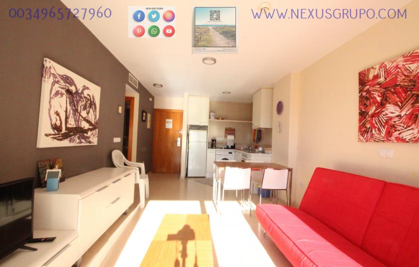 REAL ESTATE, NEXUS GROUP RENT TOURIST APARTMENT FOR VACATION SEASON in Nexus Grupo