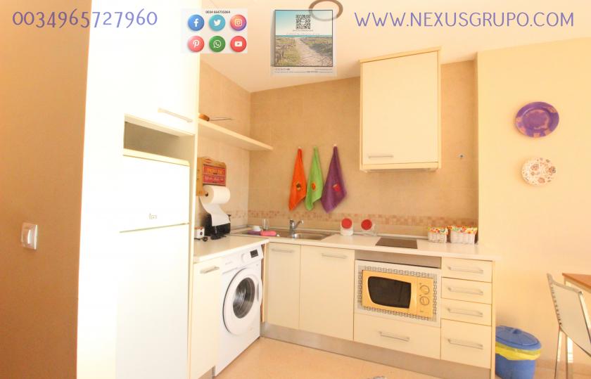 REAL ESTATE, NEXUS GROUP RENT TOURIST APARTMENT FOR VACATION SEASON in Nexus Grupo