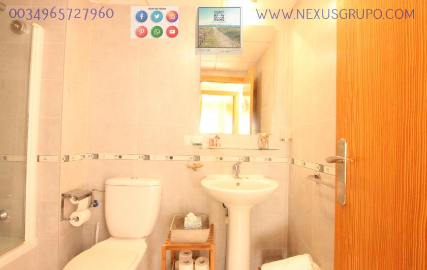 REAL ESTATE, NEXUS GROUP RENT TOURIST APARTMENT FOR VACATION SEASON in Nexus Grupo