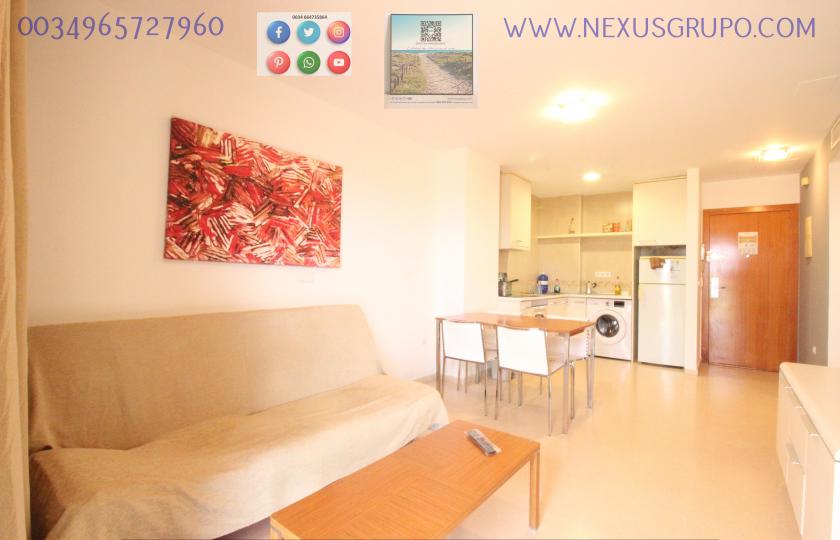 REAL ESTATE, NEXUS GROUP RENT TOURIST APARTMENT FOR VACATION SEASON in Nexus Grupo