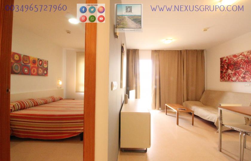 REAL ESTATE, NEXUS GROUP RENT TOURIST APARTMENT FOR VACATION SEASON in Nexus Grupo