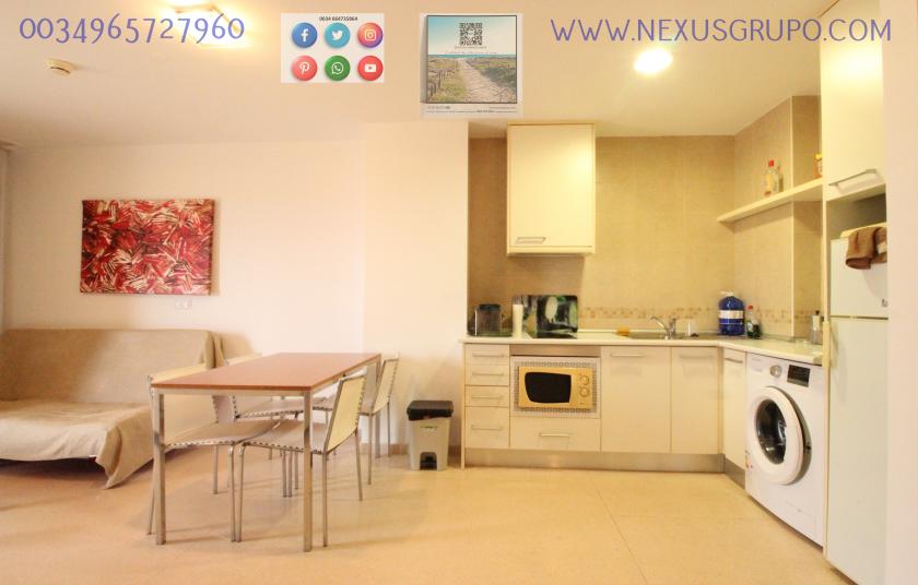 REAL ESTATE, NEXUS GROUP RENT TOURIST APARTMENT FOR VACATION SEASON in Nexus Grupo