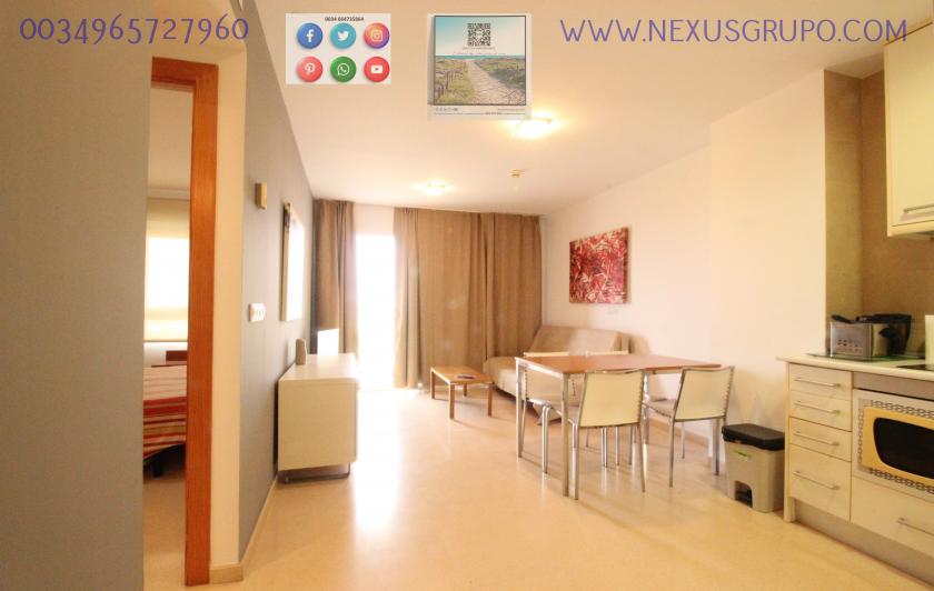 REAL ESTATE, NEXUS GROUP RENT TOURIST APARTMENT FOR VACATION SEASON in Nexus Grupo