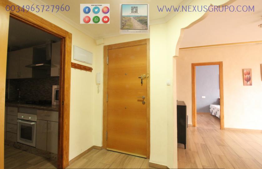 REAL ESTATE, NEXUS GROUP RENT APARTMENT IN THE CENTER OF GUARDAMAR DEL SEGURA in Nexus Grupo