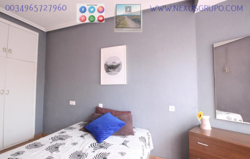 REAL ESTATE, NEXUS GROUP RENT APARTMENT IN THE CENTER OF GUARDAMAR DEL SEGURA in Nexus Grupo