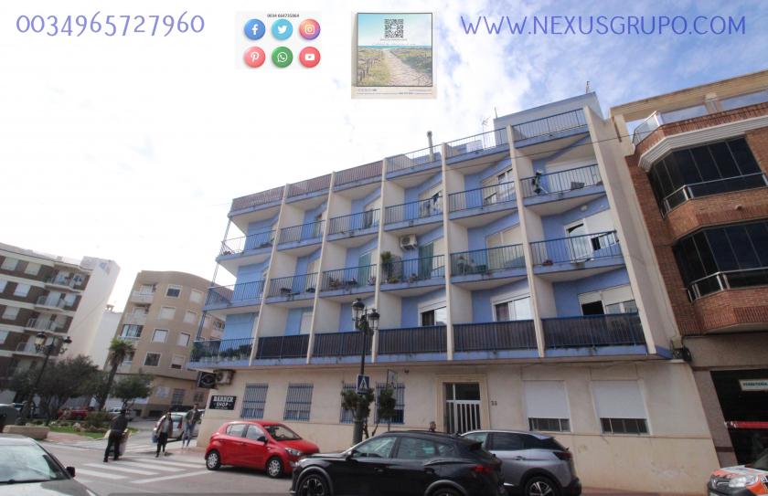 REAL ESTATE, NEXUS GROUP RENT APARTMENT IN THE CENTER OF GUARDAMAR DEL SEGURA in Nexus Grupo