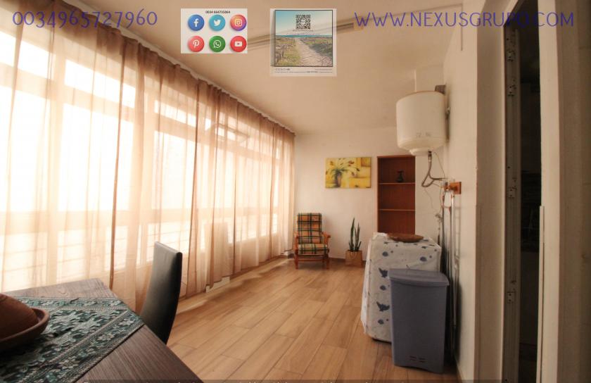 REAL ESTATE, NEXUS GROUP RENT APARTMENT IN THE CENTER OF GUARDAMAR DEL SEGURA in Nexus Grupo