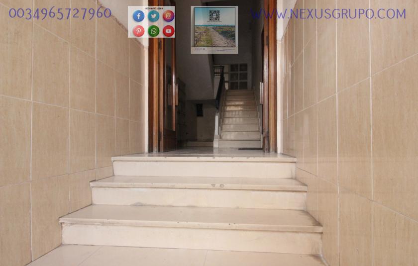 REAL ESTATE, NEXUS GROUP RENT APARTMENT IN THE CENTER OF GUARDAMAR DEL SEGURA in Nexus Grupo