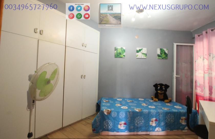 REAL ESTATE, NEXUS GROUP RENT APARTMENT IN THE CENTER OF GUARDAMAR DEL SEGURA in Nexus Grupo