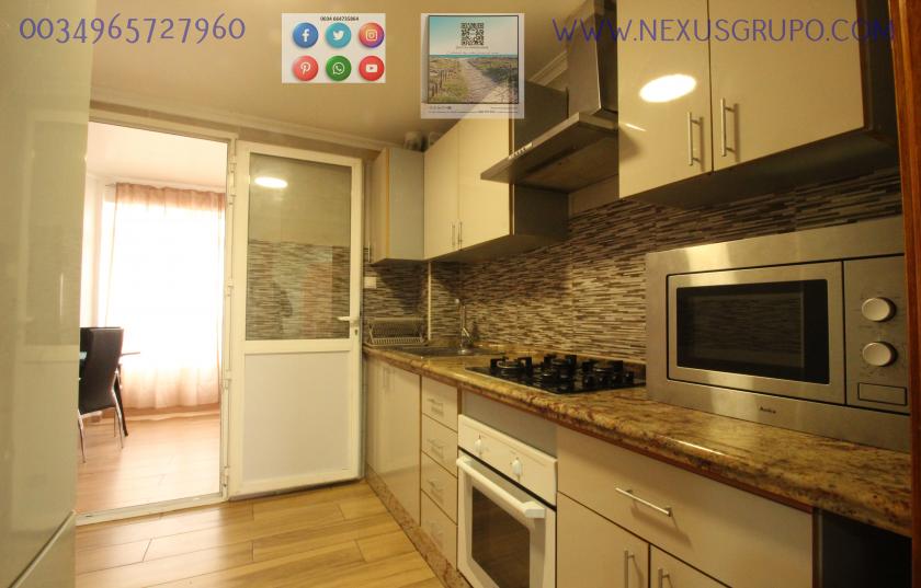 REAL ESTATE, NEXUS GROUP RENT APARTMENT IN THE CENTER OF GUARDAMAR DEL SEGURA in Nexus Grupo