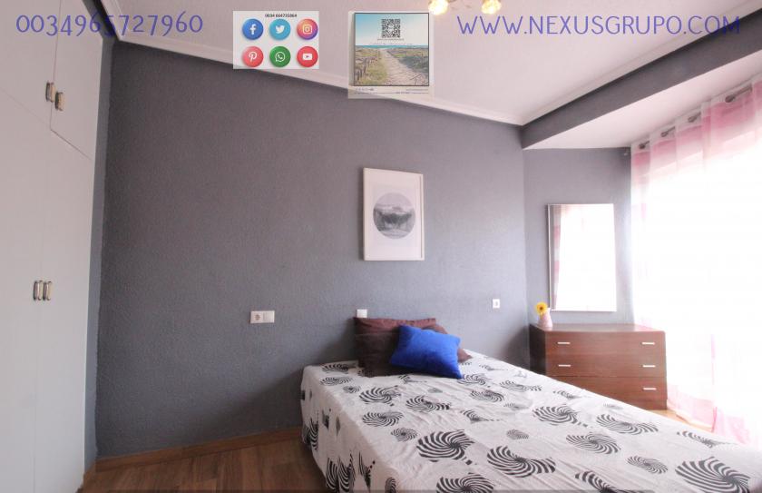 REAL ESTATE, NEXUS GROUP RENT APARTMENT IN THE CENTER OF GUARDAMAR DEL SEGURA in Nexus Grupo