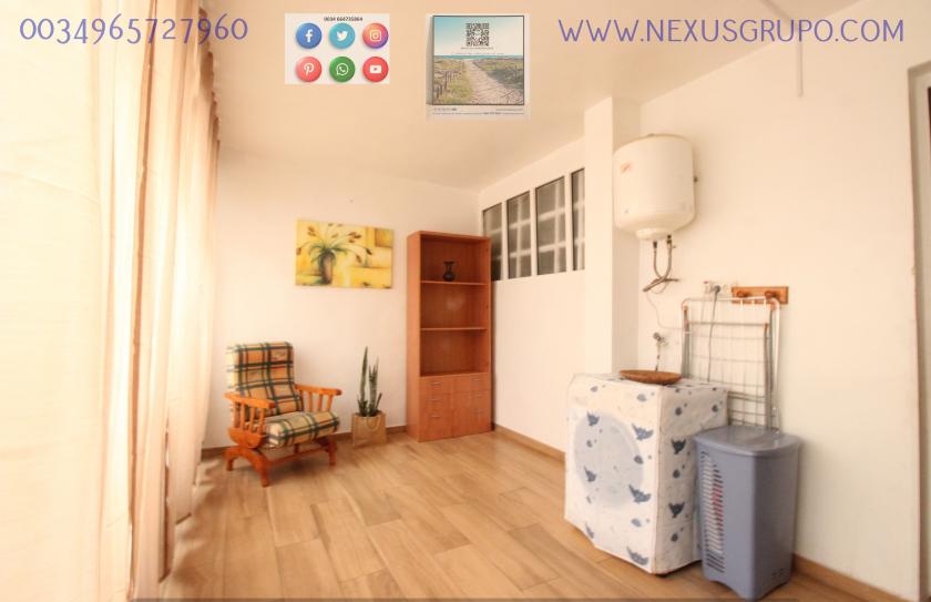 REAL ESTATE, NEXUS GROUP RENT APARTMENT IN THE CENTER OF GUARDAMAR DEL SEGURA in Nexus Grupo