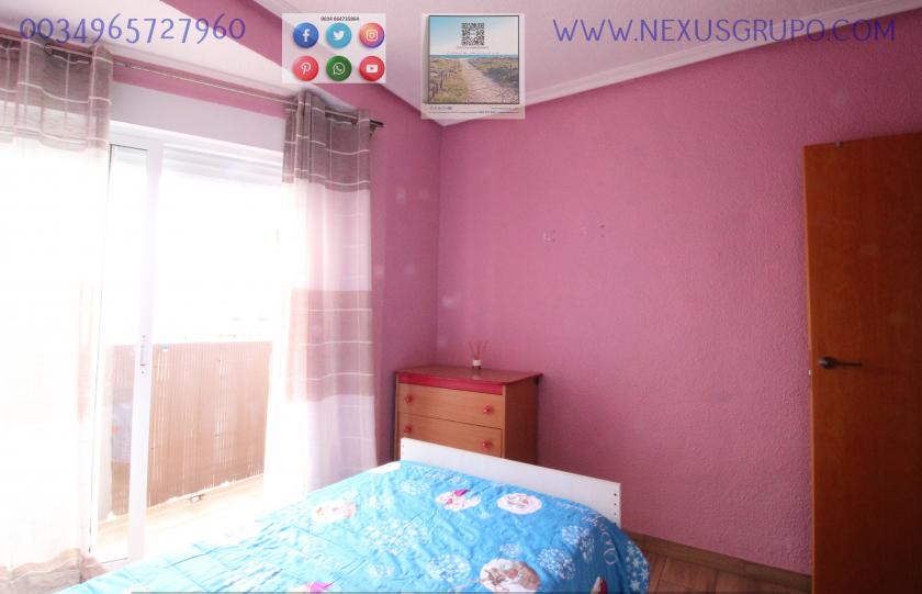 REAL ESTATE, NEXUS GROUP RENT APARTMENT IN THE CENTER OF GUARDAMAR DEL SEGURA in Nexus Grupo