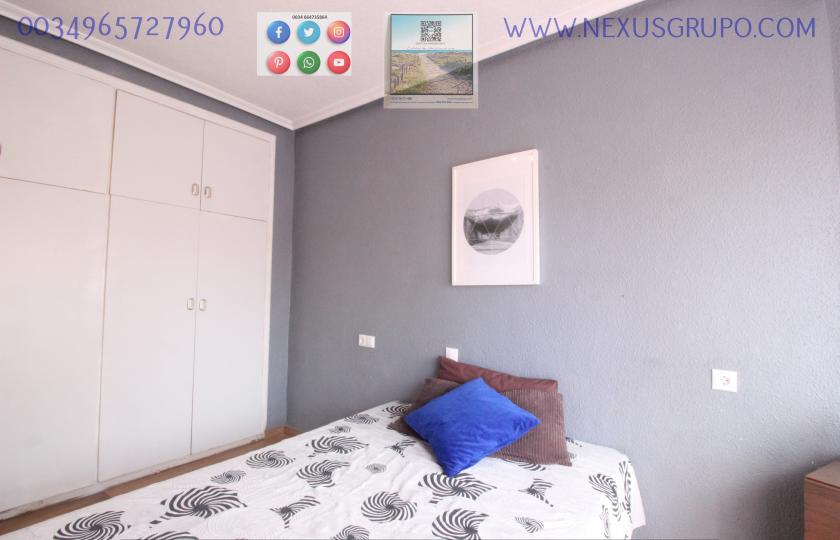 REAL ESTATE, NEXUS GROUP RENT APARTMENT IN THE CENTER OF GUARDAMAR DEL SEGURA in Nexus Grupo