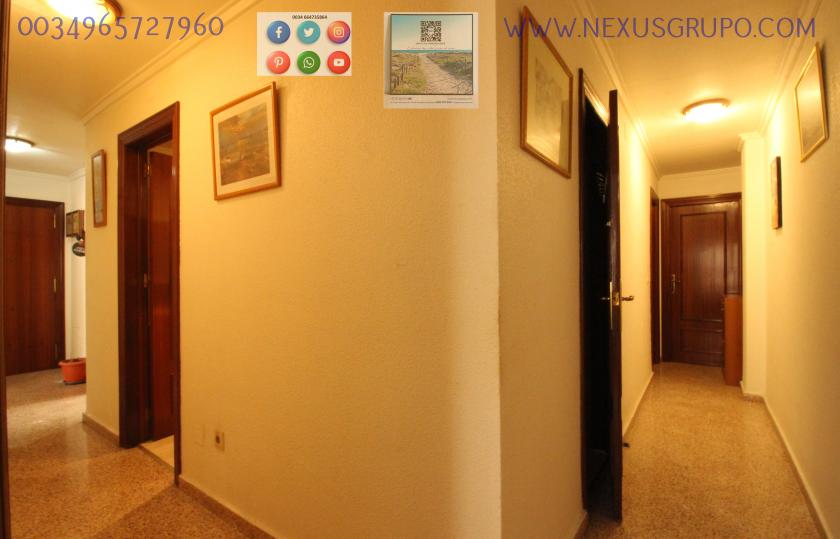 REAL ESTATE, NEXUS GROUP RENT APARTMENT FOR THE WHOLE YEAR in Nexus Grupo