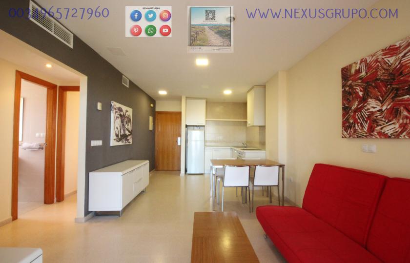 REAL ESTATE, NEXUS GROUP, RENT TOURIST APARTMENT FOR THE WHOLE YEAR in Nexus Grupo