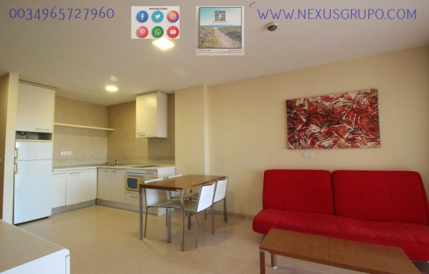 REAL ESTATE, NEXUS GROUP, RENT TOURIST APARTMENT FOR THE WHOLE YEAR in Nexus Grupo