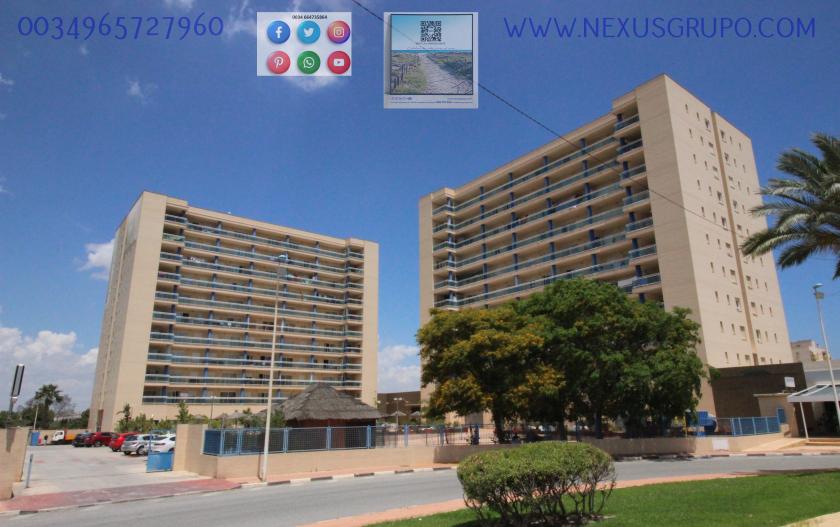 INMOBILIARIA, GRUPO NEXUS, ALQUILA PISO TURÍSTICO PARA TODO EL AÑO in Nexus Grupo