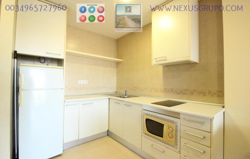 INMOBILIARIA, GRUPO NEXUS, ALQUILA PISO TURÍSTICO PARA TODO EL AÑO in Nexus Grupo