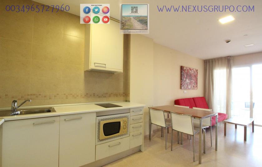 REAL ESTATE, NEXUS GROUP, RENT TOURIST APARTMENT FOR THE WHOLE YEAR in Nexus Grupo