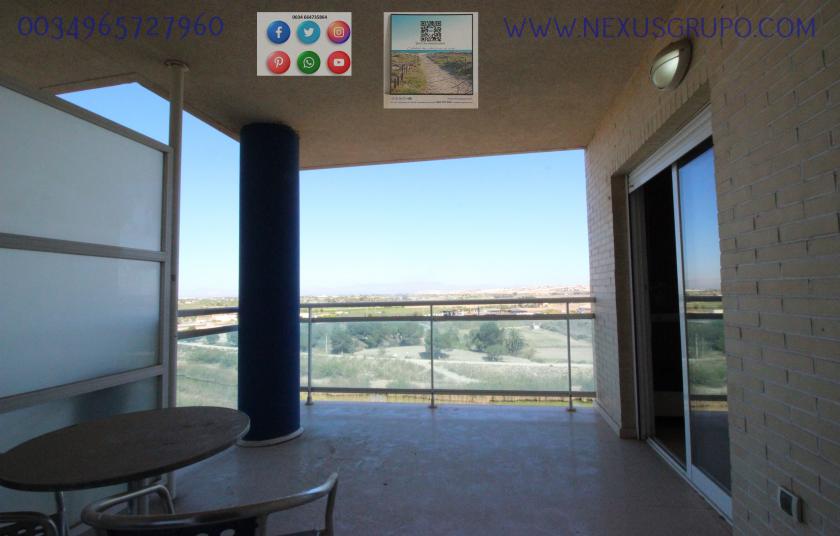 REAL ESTATE, NEXUS GROUP, RENT TOURIST APARTMENT FOR THE WHOLE YEAR in Nexus Grupo